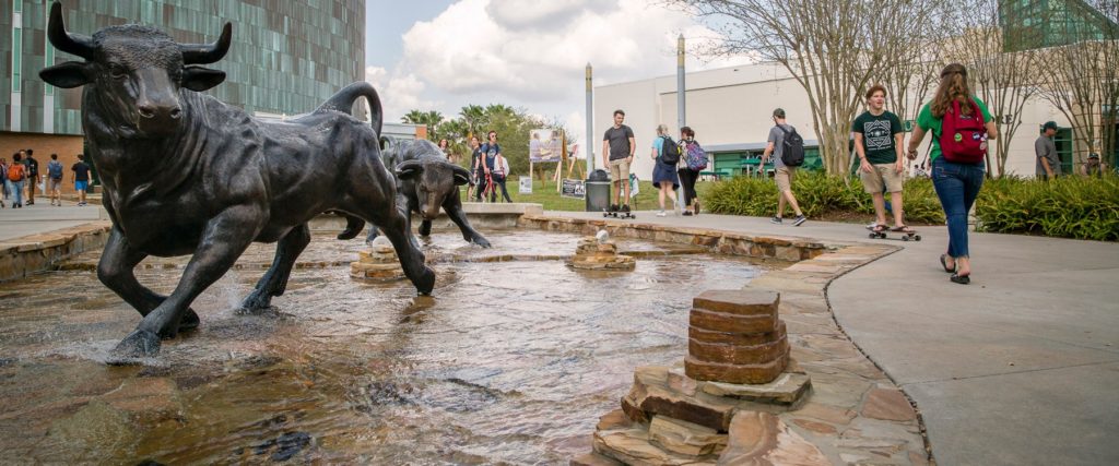 University of South Florida